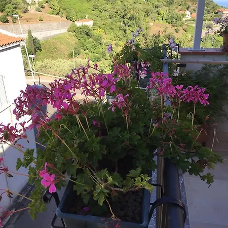 Bed & Breakfast La Via Del Carretto Capri Leone